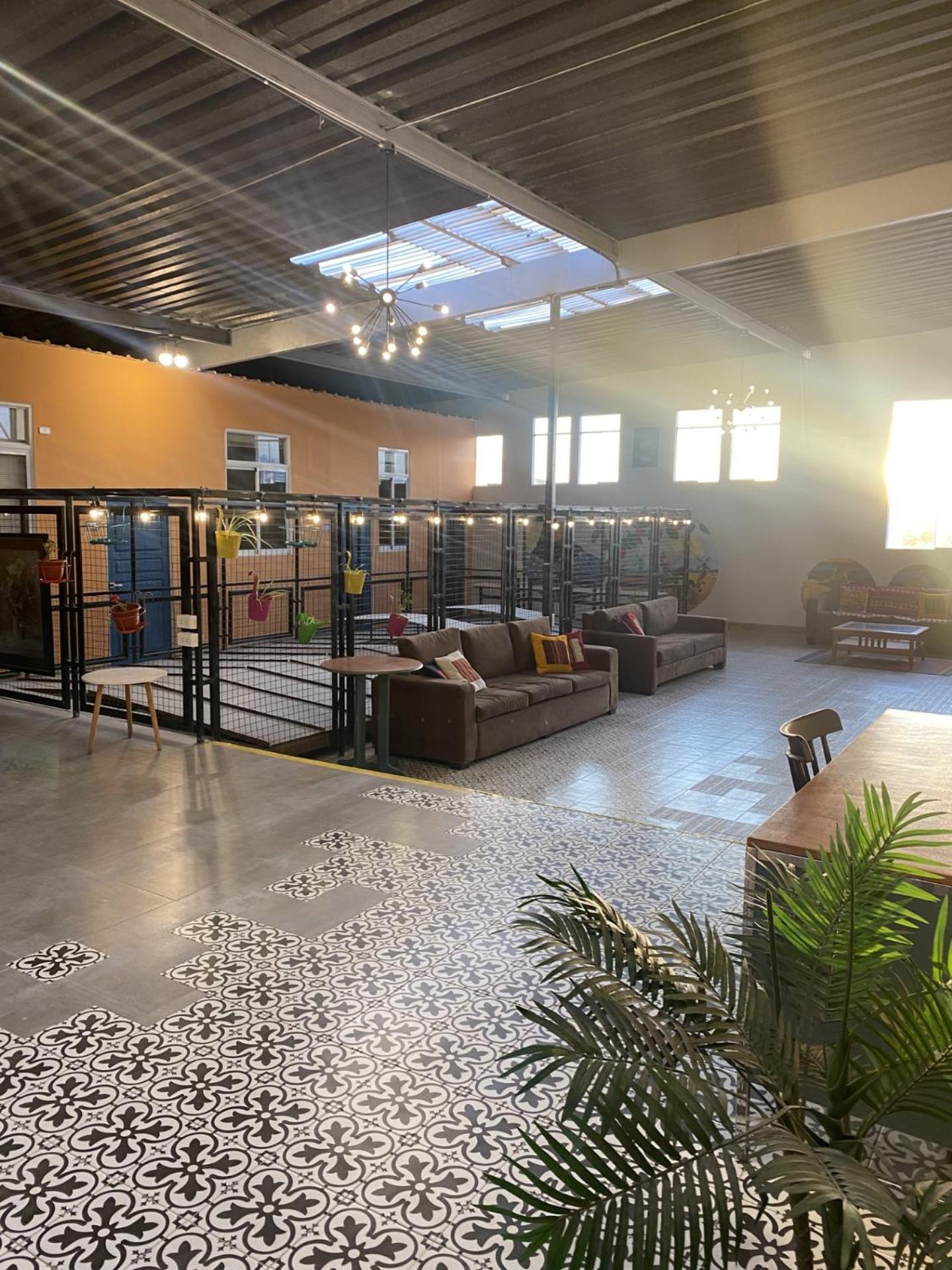 Los Andes Bed & Breakfast アレキパ エクステリア 写真